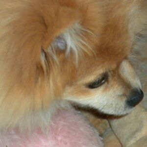 Reasonable offers accepted. Bundles get discounts!